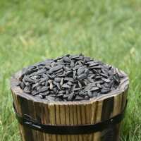 Read Ivel Valley Wild Bird Food Reviews