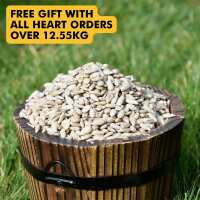 Read Ivel Valley Wild Bird Food Reviews