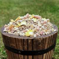 Read Ivel Valley Wild Bird Food Reviews