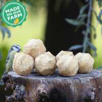 Read Ivel Valley Wild Bird Food Reviews
