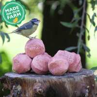 Read Ivel Valley Wild Bird Food Reviews