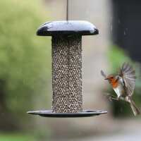 Read Ivel Valley Wild Bird Food Reviews