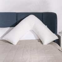 Read Putnams Reviews