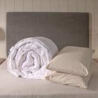 Read Putnams Reviews