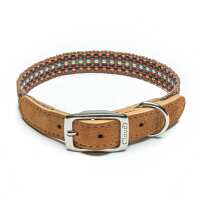 Lesen Hund von Eden Bewertungen