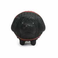 Lesen Hund von Eden Bewertungen