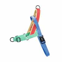 Lesen Hund von Eden Bewertungen