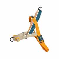 Lesen Hund von Eden Bewertungen