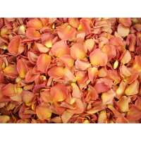 Read Petal Garden Reviews