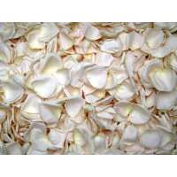 Read Petal Garden Reviews