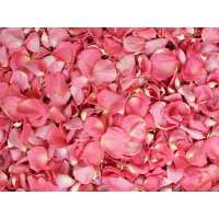 Read Petal Garden Reviews