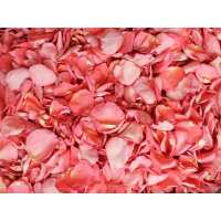 Read Petal Garden Reviews