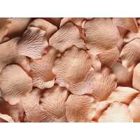 Read Petal Garden Reviews