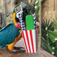 Read Northern Parrots Reviews