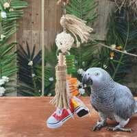 Read Northern Parrots Reviews