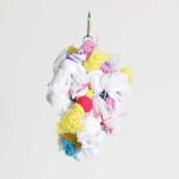 Read Northern Parrots Reviews