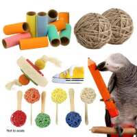 Read Northern Parrots Reviews