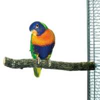 Read Northern Parrots Reviews