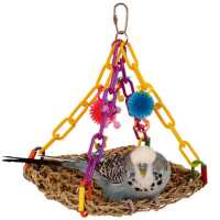 Read Northern Parrots Reviews