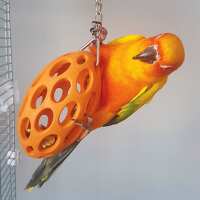 Read Northern Parrots Reviews