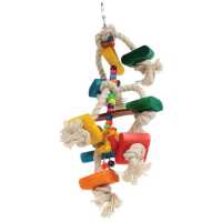 Read Northern Parrots Reviews