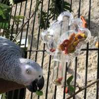 Read Northern Parrots Reviews
