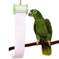Read Northern Parrots Reviews
