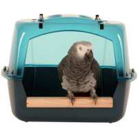 Read Northern Parrots Reviews