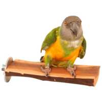 Read Northern Parrots Reviews