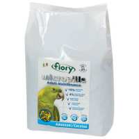Read Northern Parrots Reviews
