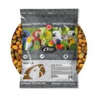 Read Northern Parrots Reviews