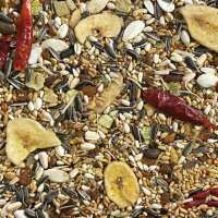 Read Northern Parrots Reviews