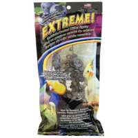 Read Northern Parrots Reviews