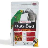 Read Northern Parrots Reviews
