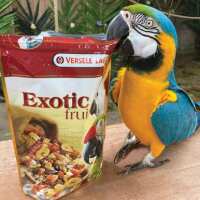 Read Northern Parrots Reviews