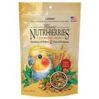 Read Northern Parrots Reviews