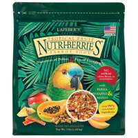 Read Northern Parrots Reviews