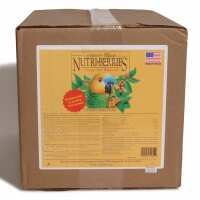 Read Northern Parrots Reviews