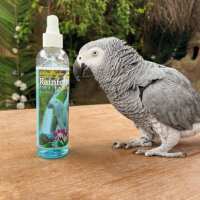 Read Northern Parrots Reviews