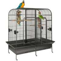 Read Northern Parrots Reviews