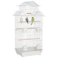 Read Northern Parrots Reviews