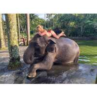 Read ForeverVacation Reviews