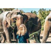 Read ForeverVacation Reviews