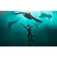 Read ForeverVacation Reviews