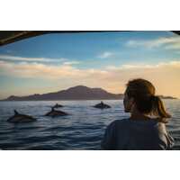 Read ForeverVacation Reviews