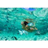 Read ForeverVacation Reviews