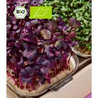 Lesen INGARDEN GMBH Bewertungen
