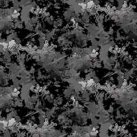 Read TigerTough Reviews