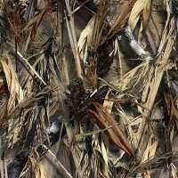 Read TigerTough Reviews