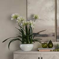 Read Cp Lighting & Interiors Reviews